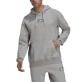 adidas Kapuzenpullover Essentials Feelvivid Baumwolle grau Herren